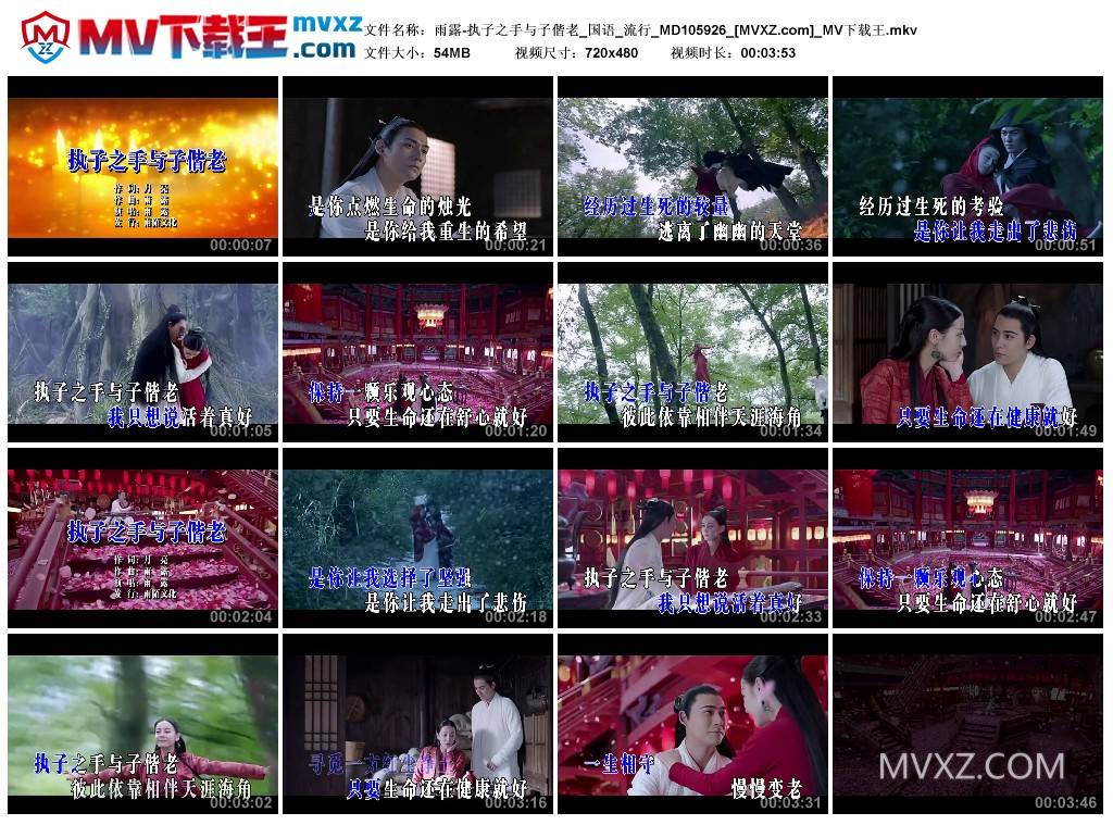 雨露-执子之手与子偕老_国语_流行_MD105926